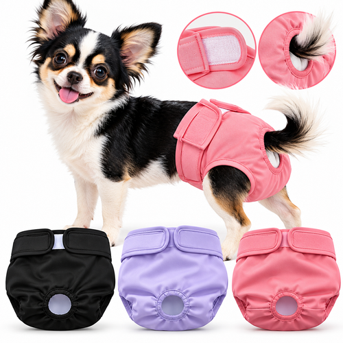 LeaklessPup washable dog diapers 3-pack in black, purple and pink on a Chihuahua
